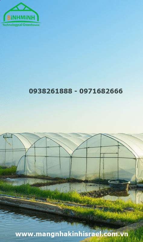 Đà Nẵng đẩy mạnh ứng dụng công nghệ cao trong sản xuất nông nghiệp