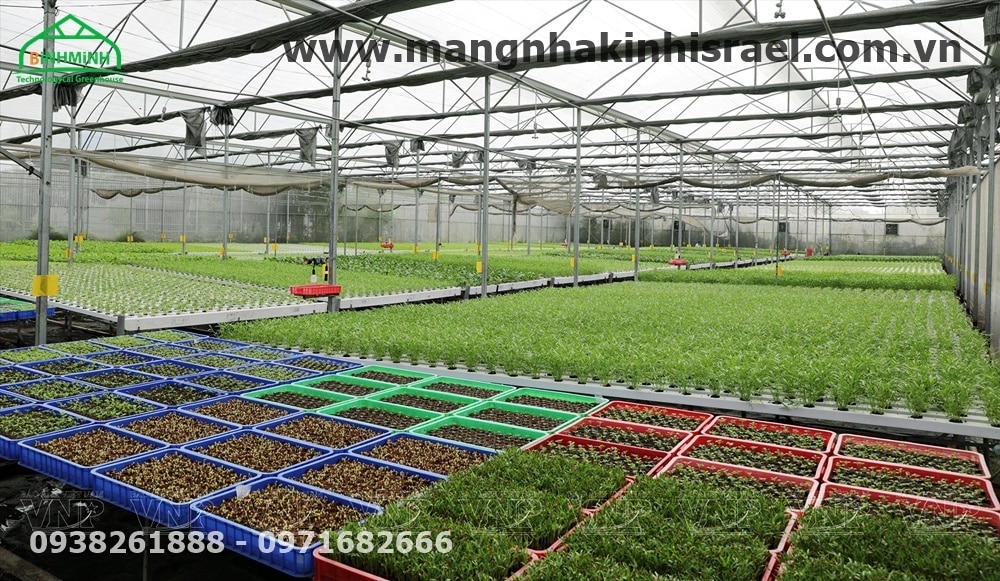 Nơi trồng rau thủy canh lớn nhất Sài Gòn
