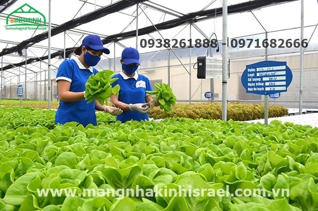 Phát triển mô hình nông nghiệp công nghệ cao đầu tiên ở huyện Quảng Ninh