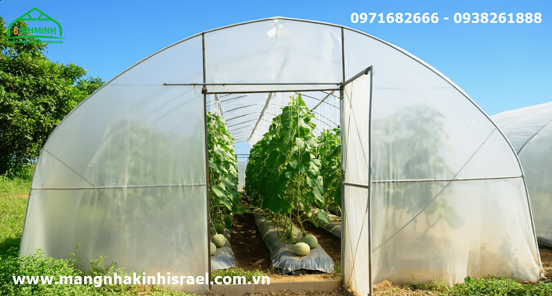 Đà Nẵng đẩy mạnh ứng dụng công nghệ cao trong sản xuất nông nghiệp
