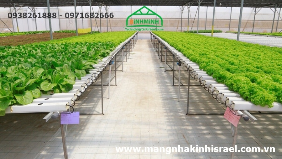 Nhà kính nông nghiệp công nghệ cao của Israel