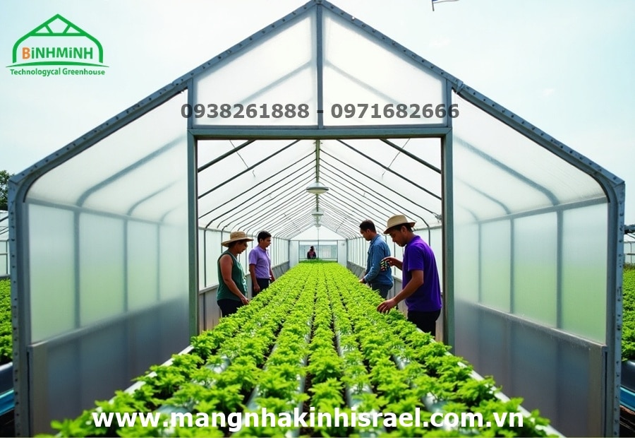Nâng Tầm Nông Nghiệp Việt Nam: Vai Trò Của Đào Tạo Công Nghệ Cao và Ưu Thế Từ Màng Nhà Kính Israel