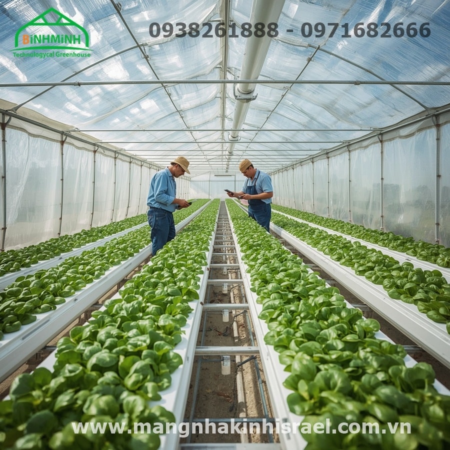 Nâng Tầm Nông Nghiệp Việt Nam: Vai Trò Của Đào Tạo Công Nghệ Cao và Ưu Thế Từ Màng Nhà Kính Israel