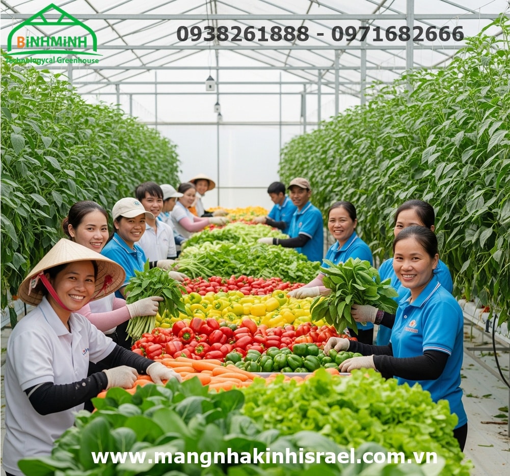 Màng Nhà Kính: "Chìa Khóa Vàng" Mở Cánh Cửa Xuất Khẩu Nông Sản Việt