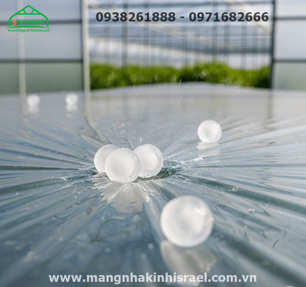 Cách Chọn Màng Nhà Kính Phù Hợp Theo Vùng Khí Hậu Và Loại Cây Trồng