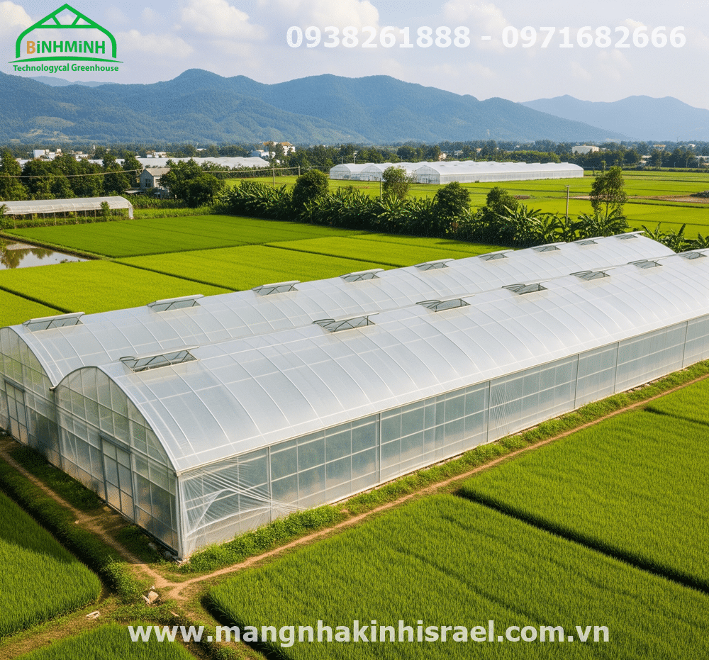 Màng Nhà Kính: Chìa Khóa Nào Giúp Nông Nghiệp Việt Nam "Xanh Hóa" Thành Công?
