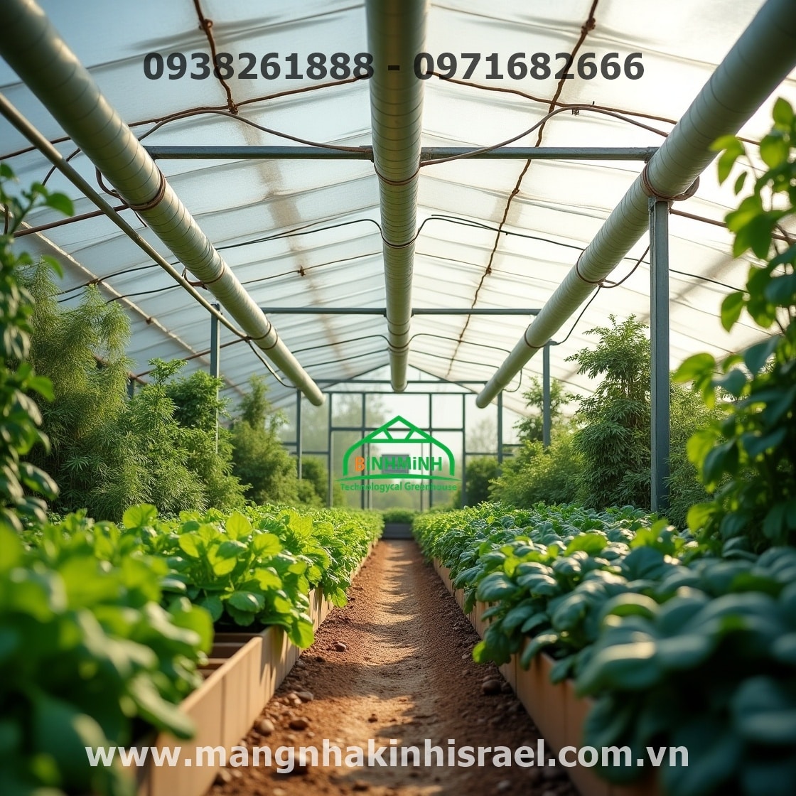 Màng Nhà Kính Politiv Israel – Giải Pháp Đột Phá Cho Nông Nghiệp Việt Nam 2024-2025