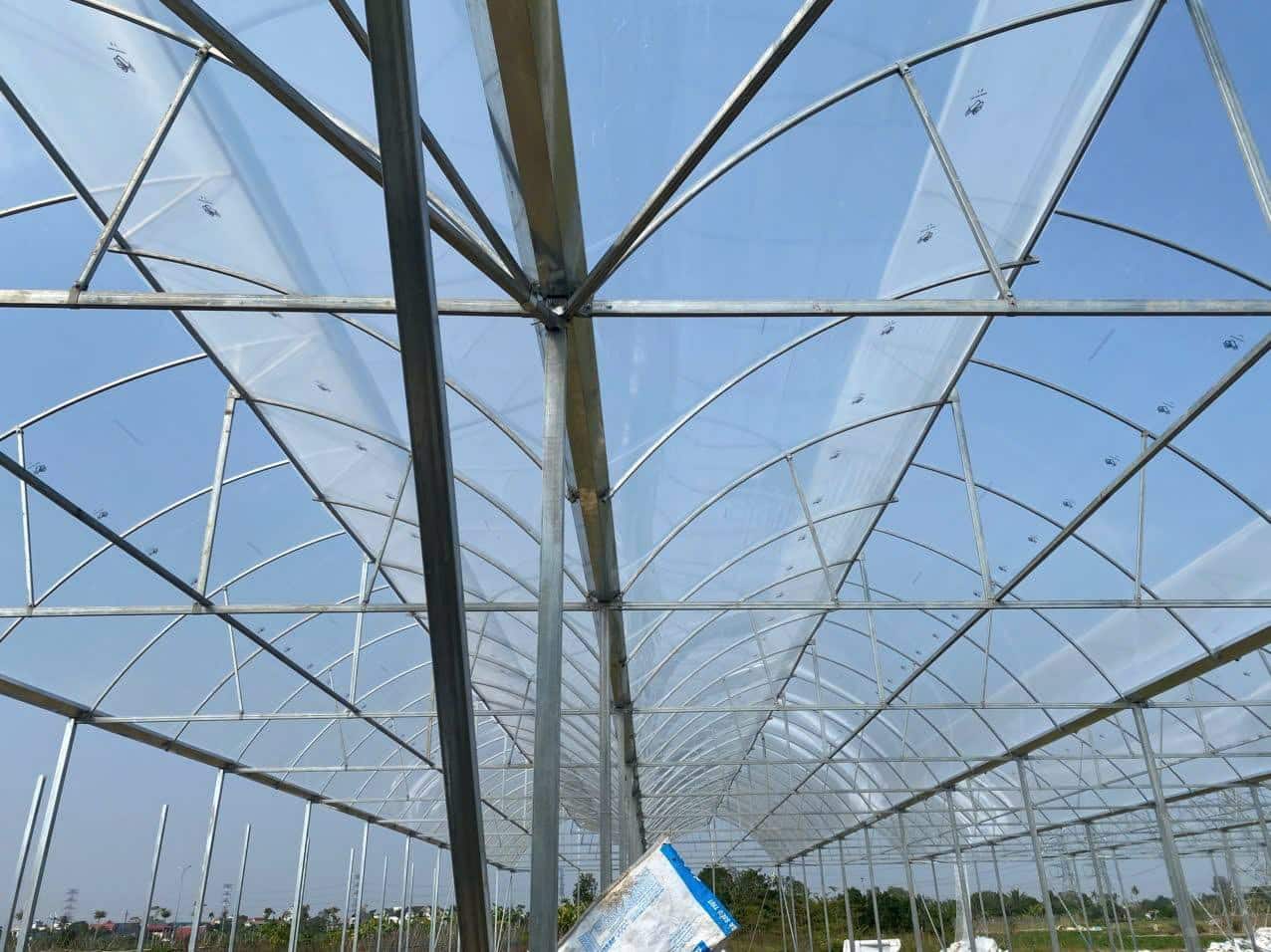 605239382 3220569471442512 4239785043201924214 n