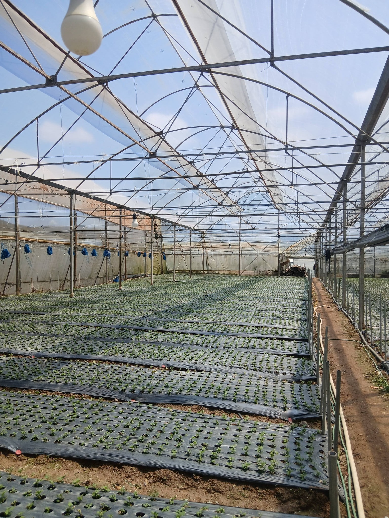 671526000 2347657612394011 3027587663428288240 n