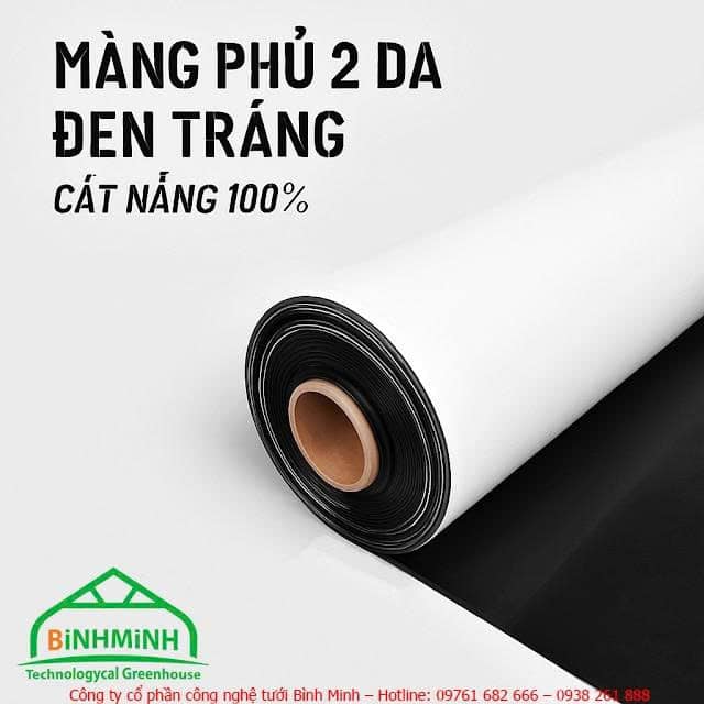 Nhà nấm công nghệ cao – Giải pháp đầu tư hiệu quả với màng đen trắng Politiv 3 z7714017742131 3f44c48f37fcea494ed53213ef4e065a