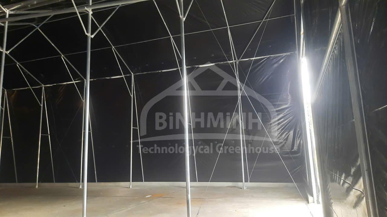 Nhà nấm công nghệ cao – Giải pháp đầu tư hiệu quả với màng đen trắng Politiv 4 z7730290619477 9812bb8a9f25b5ecd0fce9ee6b3ebb68