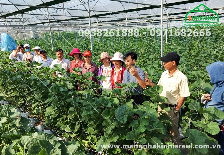 Phát triển mô hình nông nghiệp công nghệ cao đầu tiên ở huyện Quảng Ninh