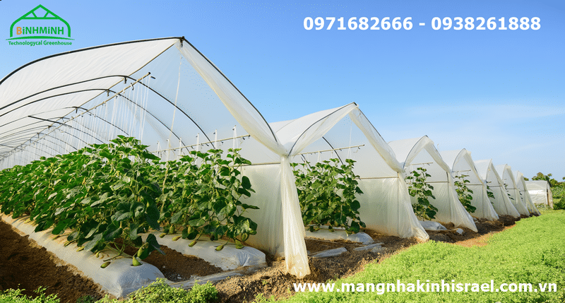 Đà Nẵng đẩy mạnh ứng dụng công nghệ cao trong sản xuất nông nghiệp