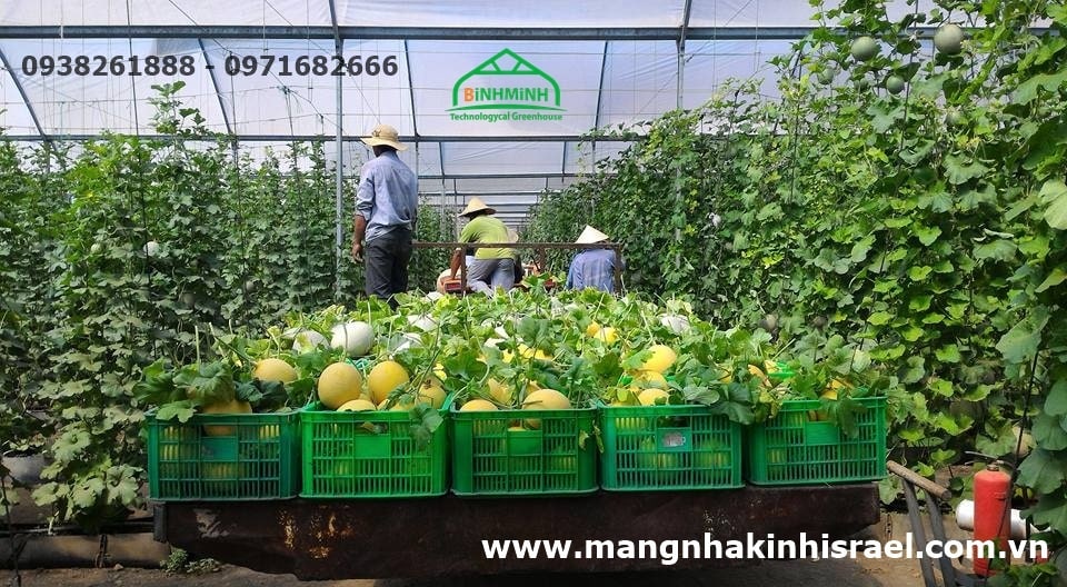 Nha kinh nong nghiep cong nghe cao cua Israel Mang Nha Kinh 2