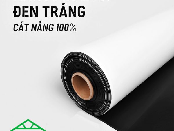 mang-nha-kinh-den-trang