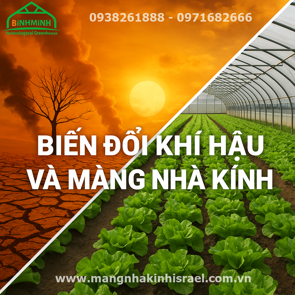Màng Nhà Kính – Giải Pháp Thích Ứng Biến Đổi Khí Hậu Cho Nông Nghiệp Việt Nam