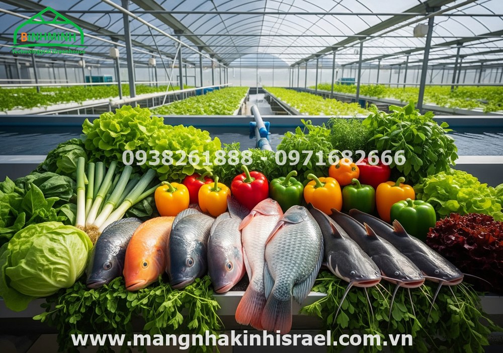 520160691 122126404568876234 2122402817491705919 n